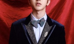 男星菜菜八卦爆料视频大全,视频大全背后的精彩故事