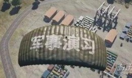 绝地求生老王爆料视频在线观看,揭秘游戏幕后真相与精彩瞬间